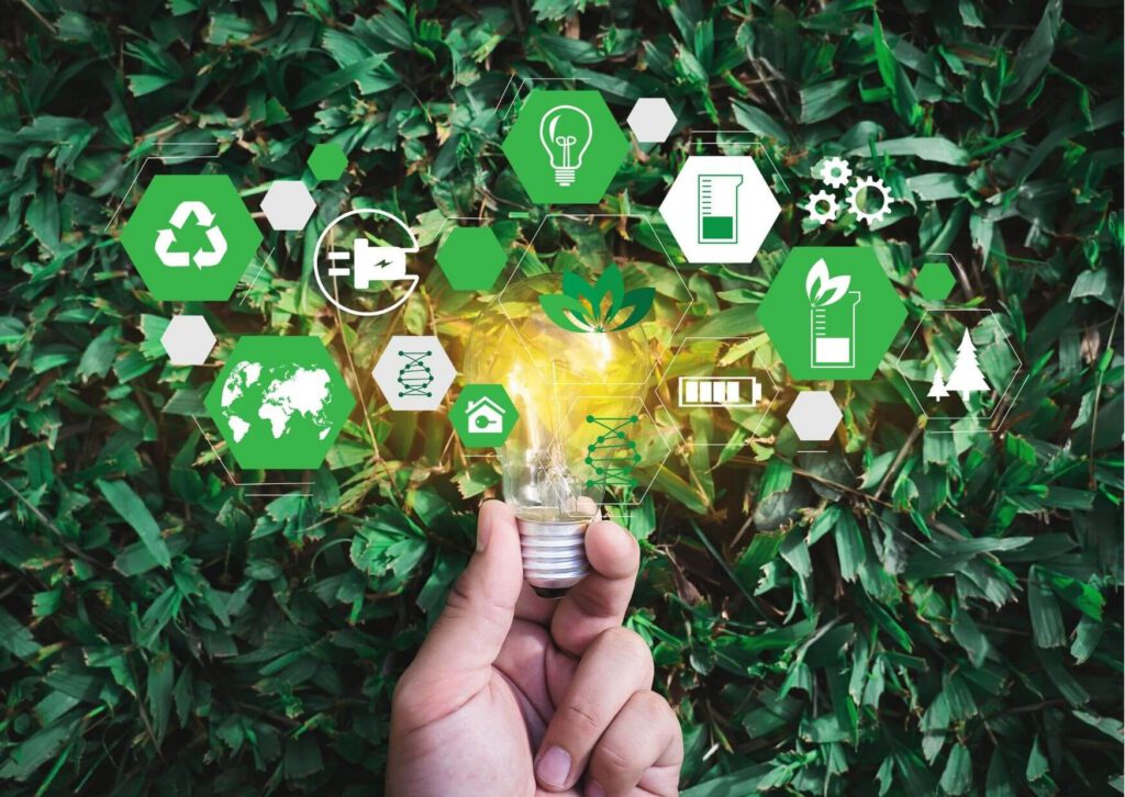 Sustainability and local sourcing in the hotel industry