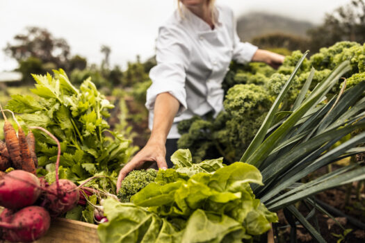 sustainability and local sourcing in the hospitality industry