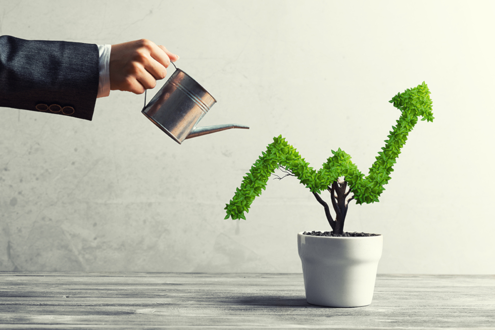 Wall Street’s caution Main Street’s opportunity