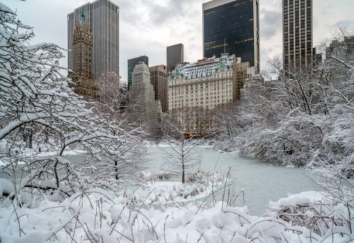 January 2026 hotel performance